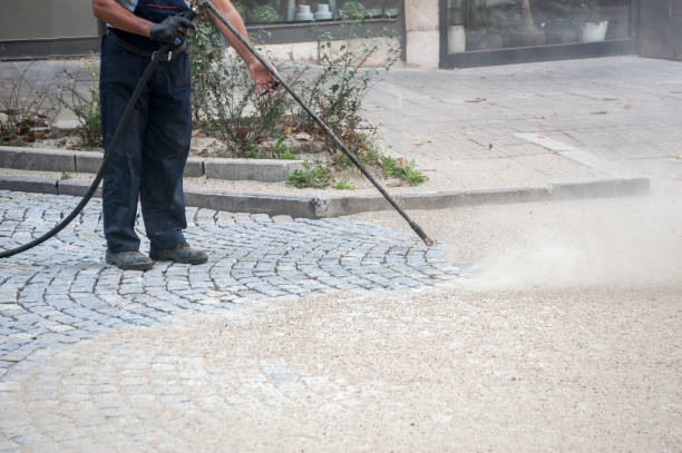 Best Sidewalk and Walkway Cleaning  in St Regis Park, KY
